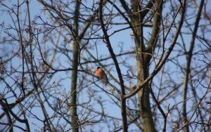 IMG_0245.JPG