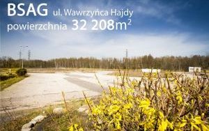 BSAG I Hajdy 001 a.jpg