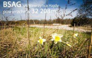 BSAG I Hajdy 004 a.jpg