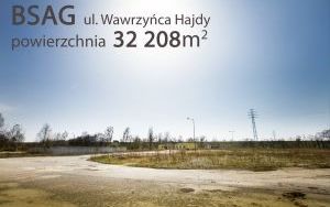 BSAG I Hajdy 003 a.jpg