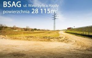 BSAG II Hajdy 001 a.jpg