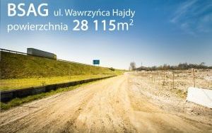 BSAG II Hajdy 002 a.jpg