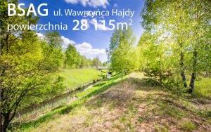 BSAG II Hajdy 003 a.jpg