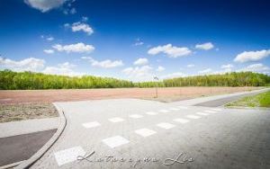 IMG_2073.jpg