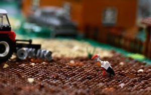 _DSC9083.JPG