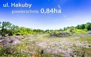 Hakuby 004_0,84 ha.jpg