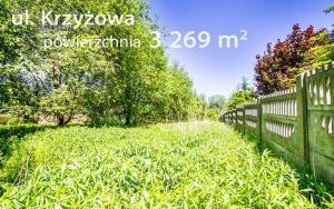 ul .Krzyżowa_ 3 269 m2_002.jpg
