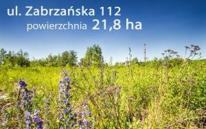 Zabrzańska 112 _002.jpg