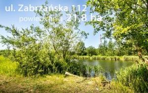 Zabrzańska 112 _003.jpg