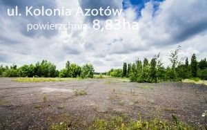 Kolonia Azotów 001.jpg