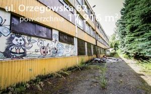 Orzegowska 82 002.jpg