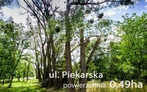 Piekarska 002.jpg