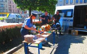 IMG_5243.JPG
