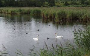 IMG_4682.JPG
