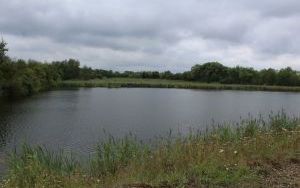 IMG_4677.JPG