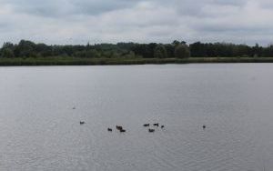 IMG_4676.JPG