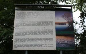 IMG_4674.JPG