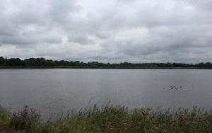 IMG_4678.JPG