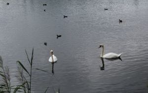 IMG_4683.JPG