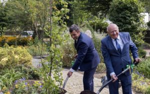 _DSC1418.jpg