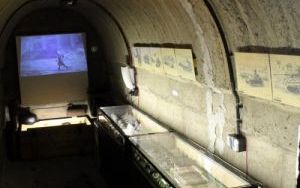 IMG_4921.JPG