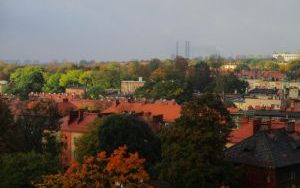 IMG_2435.JPG