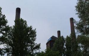 IMG_5831.JPG