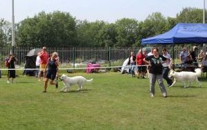 IMG_5851.JPG