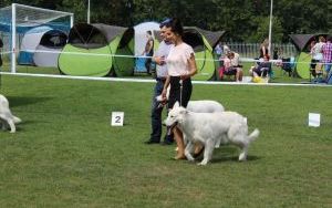 IMG_5854.JPG
