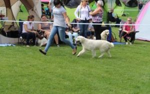 IMG_6222.JPG