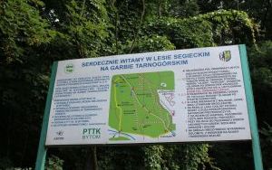 IMG_6933.JPG