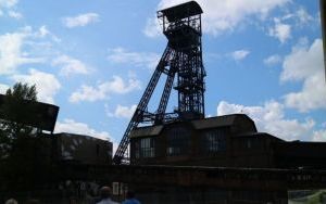 IMG_5377.JPG