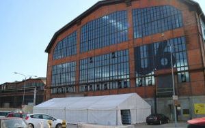 IMG_5338.JPG
