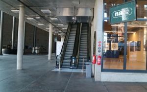IMG_5297.JPG