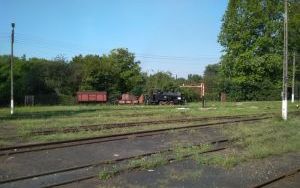 IMG_20180804_091437.jpg