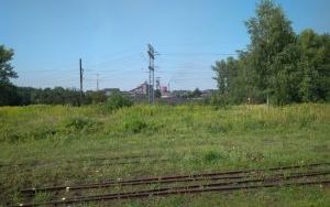IMG_20180804_091557.jpg