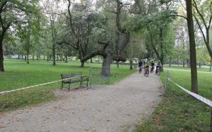 IMG_1117.JPG