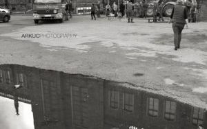 _DSC0557am.jpg