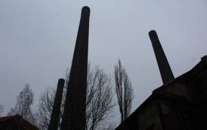 IMG_7616.JPG