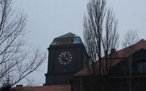 IMG_7622.JPG