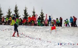 _DSC0500.jpg