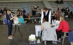 IMG_7800.JPG