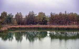 _DSC2808.jpg