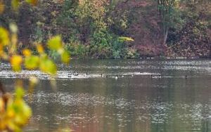 _DSC2810.jpg