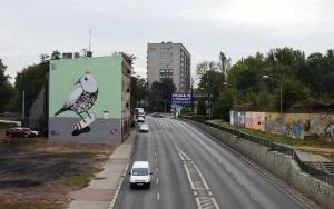 DSC_3816.JPG
