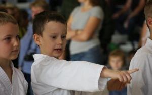 b6.jpg