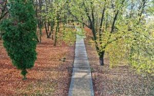 DJI_0010.JPG