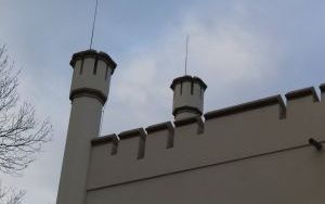 IMG_9019.JPG