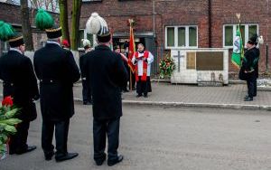 _DSC3495.jpg