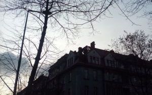 Fot_1.jpg